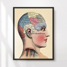 Phrenology Art Print Wall