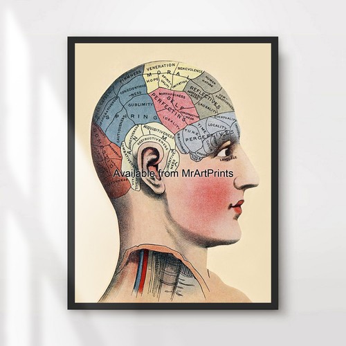 Phrenology art print wall - art,