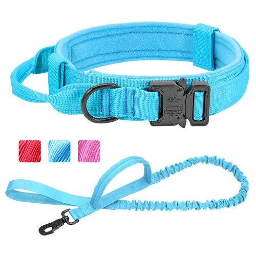 Tactical dog collar - and, lead