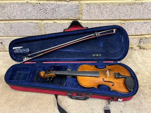 Size stentor student i - size,