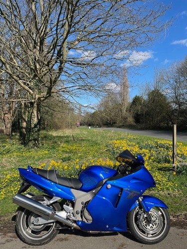 Honda cbr1100xx super - cbr1100xx,