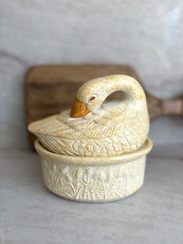 Vintage swan goose duck - goose,