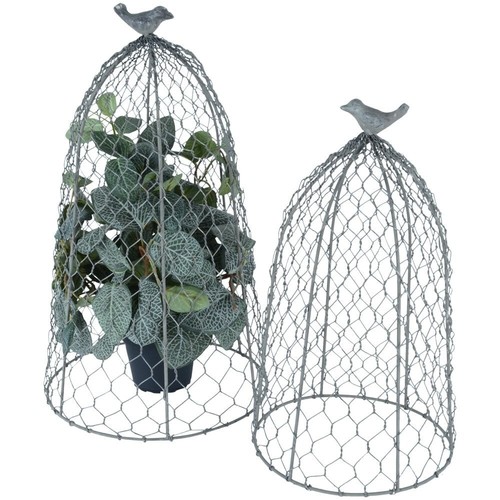 Chicken wire cloche garden - chicken,