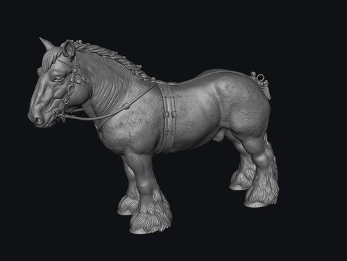 Swf004 shire horse in - c,