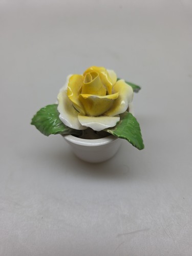 Radnor bone china - bone, england