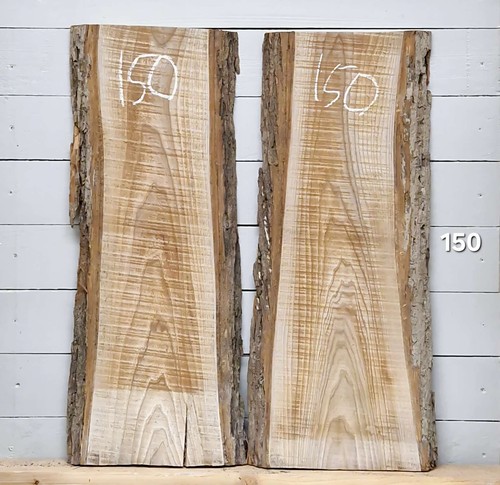Elm live edge - elm, timber