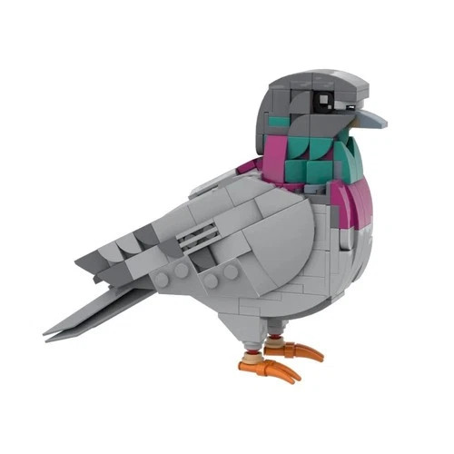 Feral pigeon building blocks - feral,