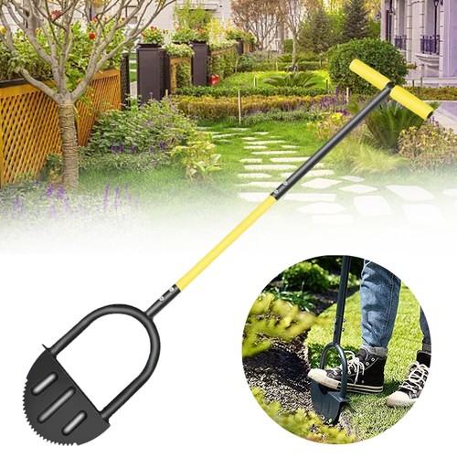 Garden lawn border - lawn, grass