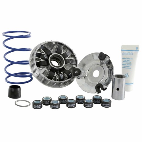 Polini p241665 variator maxi - polini,