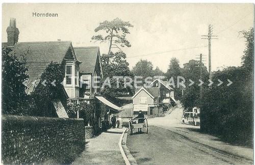 Horndean village pony trap - village,