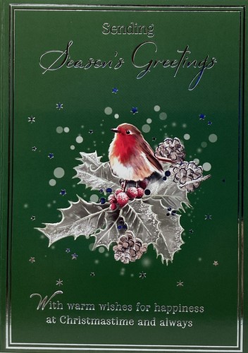 Open christmas card robin - christmas,
