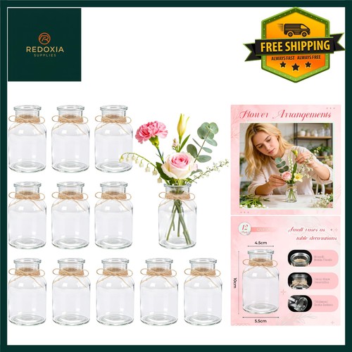 Glass bud vases - bud, 12