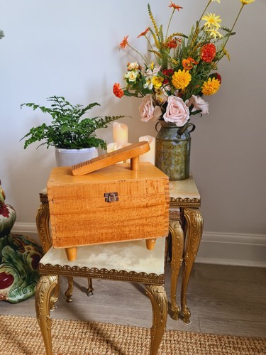 Vintage shoe shine - vintage,