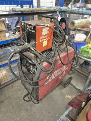 Murex transmig353 - murex,