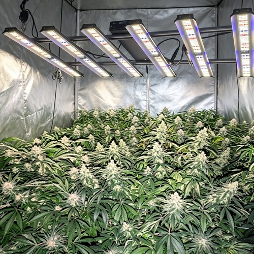 Ba5000w spider led hydroponic - ba5000w,