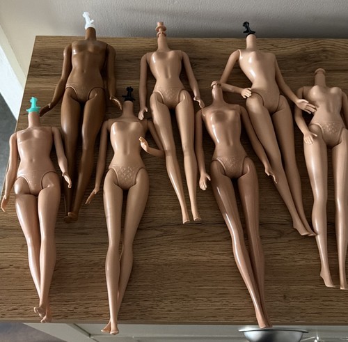 Barbie doll bundle bodies - barbie,