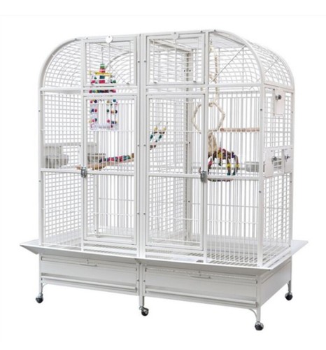 Parrot supplies washington - parrot-supplies,