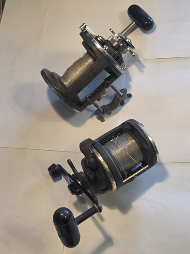 Daiwa and penn fishing - and, reels