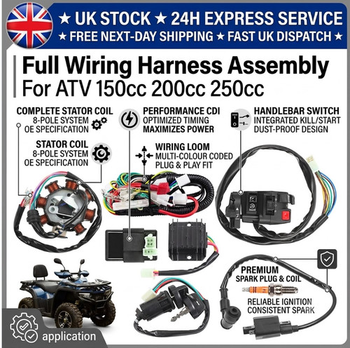 Quad bike wiring harness - bike,