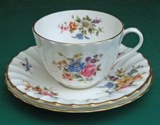 Royal Worcester 'Roanoke'
