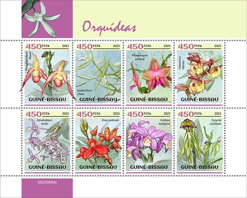 Orchids