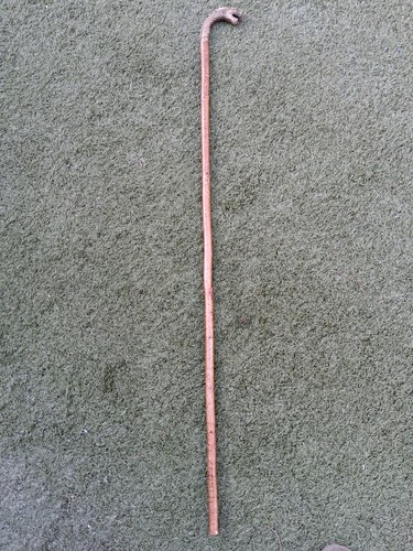 Hazel walking stick - hazel,