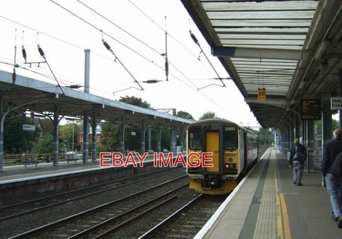 Photo abellio greater - abellio,