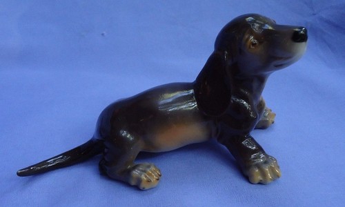 Dachshund black tan - dachshund, black/tan