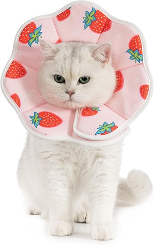 Comfy recovery cone - comfy,
