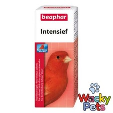 CANARY COLOUR SUPPLEMENT