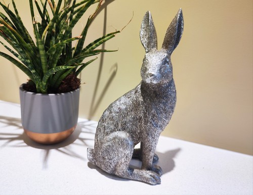 Silver coloured sitting - coloured, hare