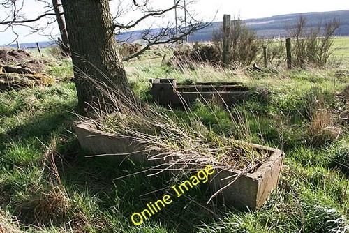 Photo 6x4 overgrown trough - overgrown,