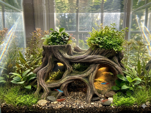 Tree stump root planter - stump,