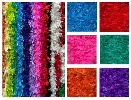 Feather boa costume - feather,