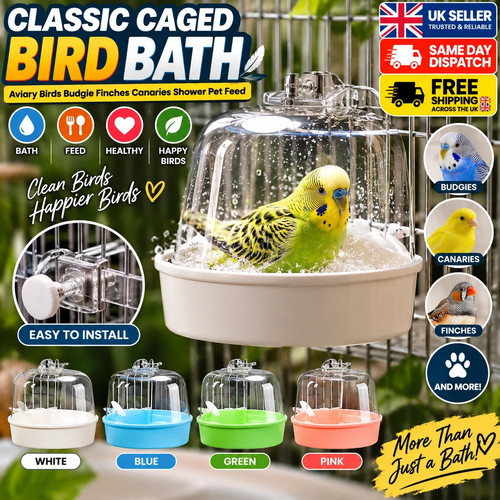 Classic caged bird - classic,