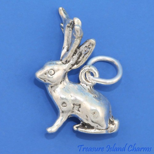 Jackalope jack rabbit hare - jackalope,