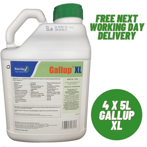Gallup xl professional - gallup,
