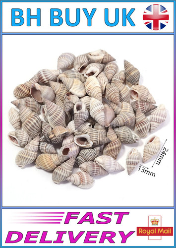 40g aquarium snail shells - 40g,