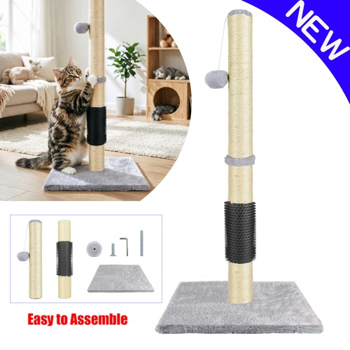 80cm tall large cat scratching - 80cm,