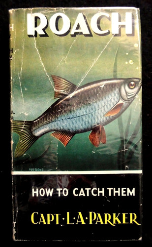 Roach how catch - to,