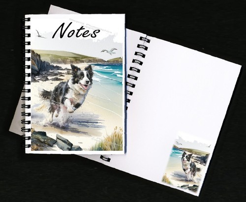 Border collie dog - border,