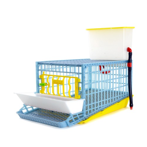 Quail cage mini for - for, hobbyists