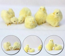 Lovely Plush Chick Simulation