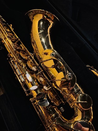 Dave guardala dg502gp gold - dave,