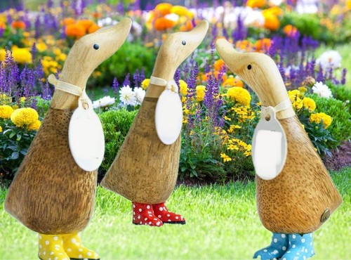 Dinky ducks with spotty - ducks,