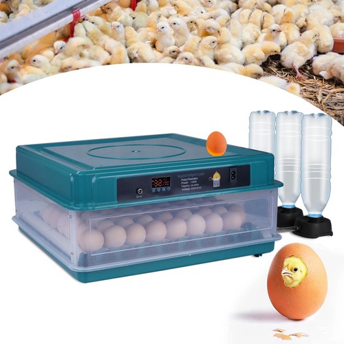 48x eggs incubator temperature - 48x,