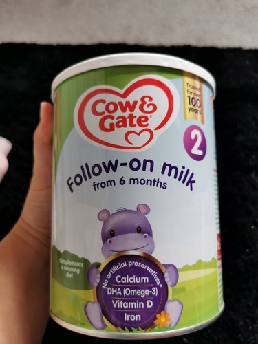 Cow and gate - cow, 2