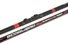 BOLOGNESE TRABUCCO CLIFF