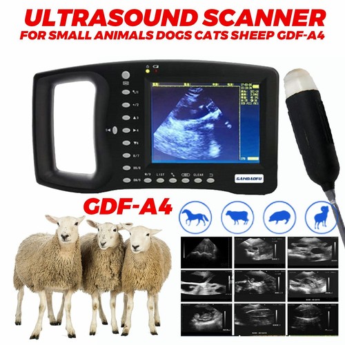 Gdf veterinary ultrasound - gdf-a4,