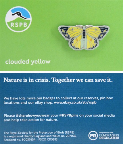 Rspb pin badge - rspb,